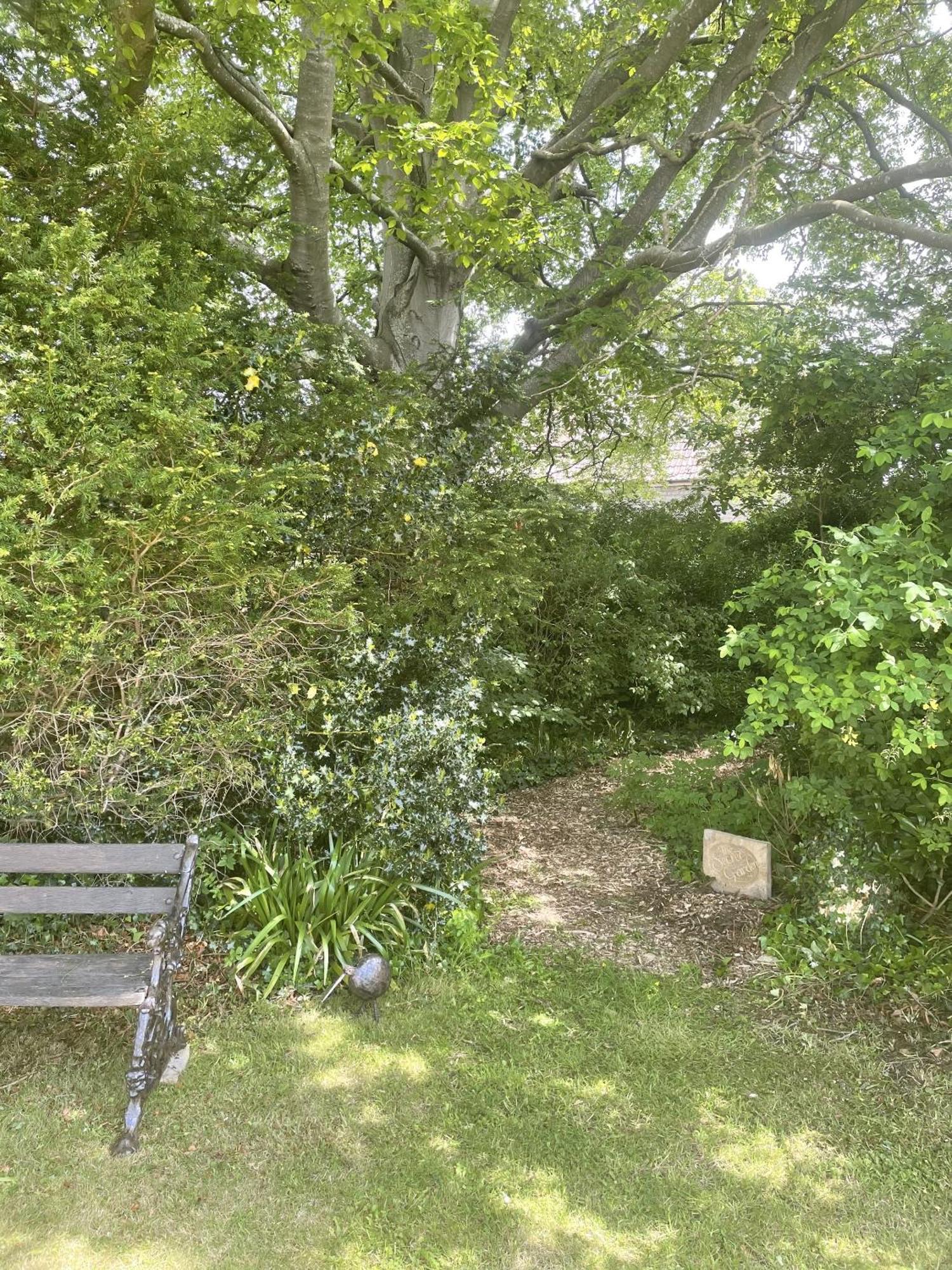 The Mount Somerton Retreat - Nr Bruton, Glastonbury, The Spectacular Wells Cathedral, Millfield School, Leonardo Helicopters, Yeovilton Exterior foto